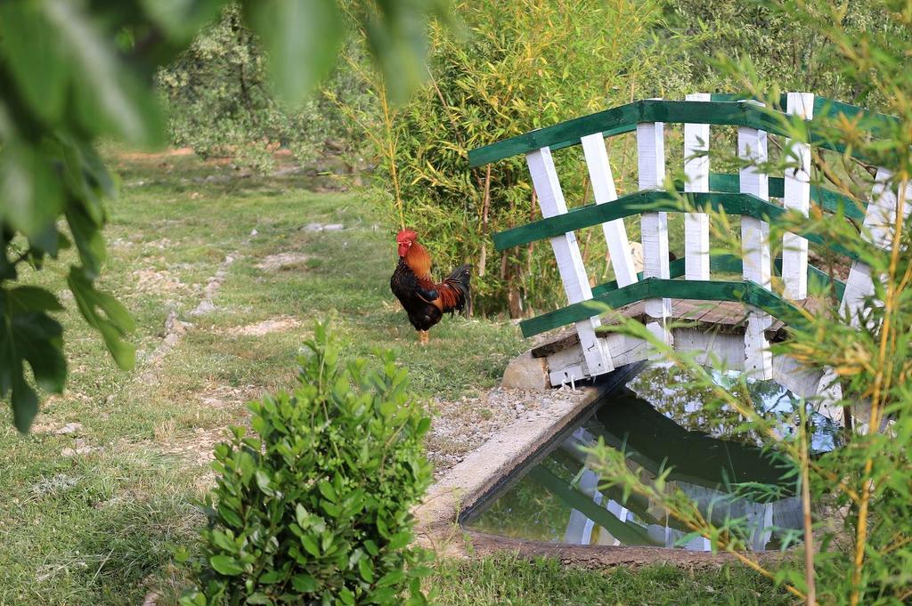 Agrotourism Galic Krka Drinovci Exterior foto
